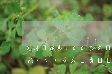支付寶逾期500多久沒有記錄-支付寶逾期500多久沒有記錄了