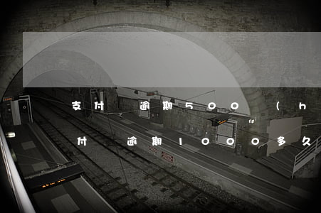 支付寶逾期500會(huì)上征信嗎 支付寶逾期1000多久上征信