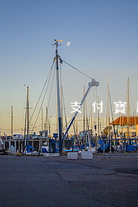支付寶逾期50塊（支付寶逾期50元）
