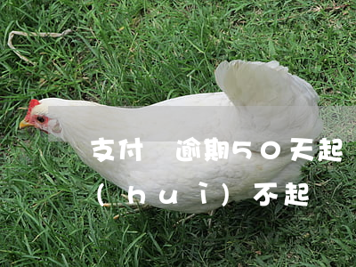 支付寶逾期50天起訴-支付寶逾期幾百會(huì)不起訴
