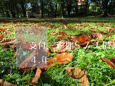 支付寶逾期57天借款(支付寶欠款6萬逾期4年)