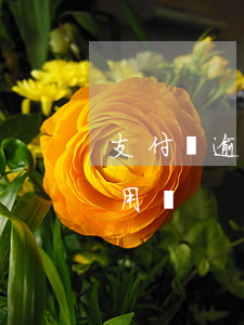 支付寶逾期580能用嗎(支付寶逾期還能使用嗎)
