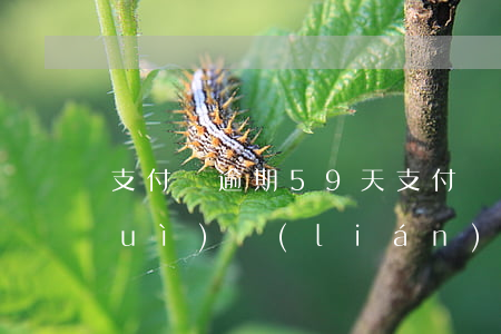 支付寶逾期59天(支付寶逾期59天會(huì)聯(lián)系家人嗎)