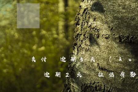 支付寶逾期5天會(huì)影響征信（支付寶逾期2天對征信有影響嗎）