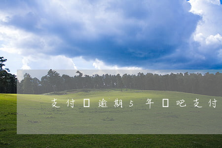 支付寶逾期5年貼吧(支付寶逾期五六年)