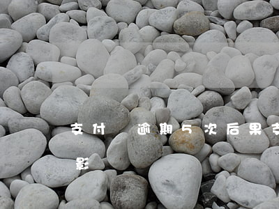 支付寶逾期5次后果(支付寶逾期兩次有什么影響)
