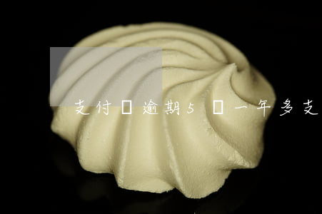 支付寶逾期5萬一年多 支付寶5萬逾期后果