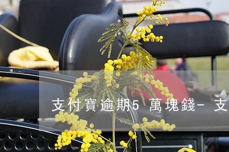 支付寶逾期5萬塊錢-支付寶逾期6萬多