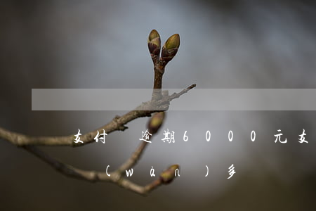 支付寶逾期6000元(支付寶逾期87天六萬(wàn)多)