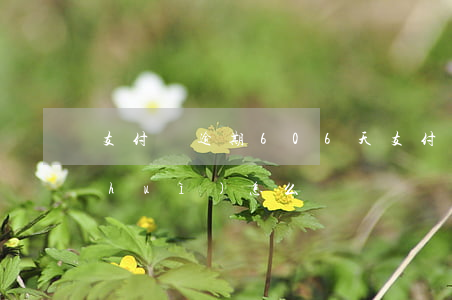 支付寶逾期606天(支付寶逾期46天會(huì)怎么樣)
