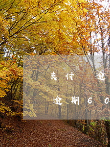 支付寶逾期60天2萬多會上門嗎-支付寶逾期60天2萬多會上門嗎知乎