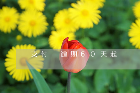 支付寶逾期60天起訴
