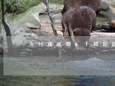 支付寶逾期6千被起訴 支付寶 逾期 起訴