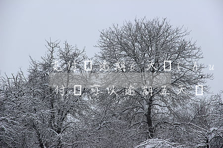 支付寶逾期6天會(huì)有什么后果 支付寶可以逾期五天嗎
