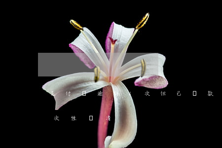 支付寶逾期6次但已還款(支付寶逾期了叫一次性還清)