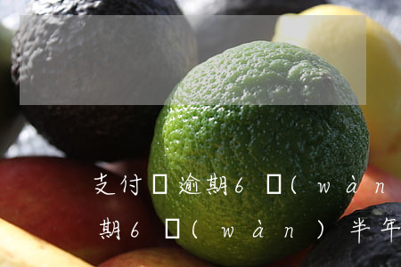 支付寶逾期6萬(wàn)半年-支付寶逾期6萬(wàn)半年會(huì)怎樣