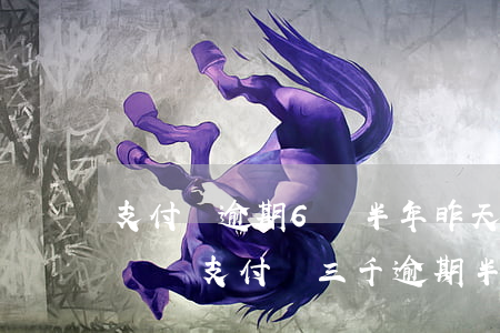 支付寶逾期6萬半年,昨天說上門家訪真的會來嗎?（支付寶三千逾期半年會家訪嗎）
