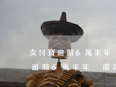 支付寶逾期6萬半年沒還款怎么辦-支付寶逾期6萬半年沒還款怎么辦呢