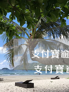 支付寶逾期6萬多久會被起訴會有什么后果（支付寶逾期六千會被起訴嗎）