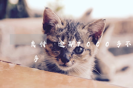 支付寶逾期7000多不還(支付寶逾期6萬多)