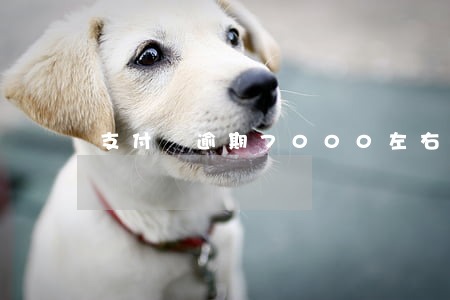 支付寶逾期7000左右(支付寶逾期七千多)