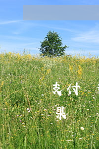 支付寶逾期70天了 支付寶逾期72天的后果