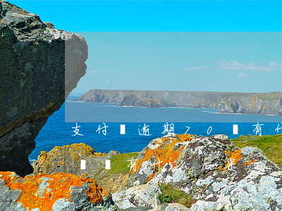 支付寶逾期70會有什么后果(支付寶逾期十幾萬有什么后果)