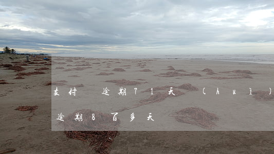 支付寶逾期71天會(huì)怎樣 支付寶逾期8百多天
