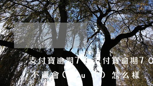 支付寶逾期76(支付寶逾期7000一年多不還會(huì)怎么樣)