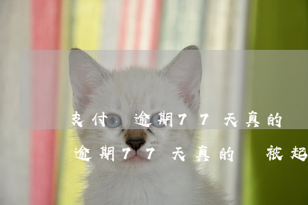 支付寶逾期77天真的會被起訴嗎-支付寶逾期77天真的會被起訴嗎知乎