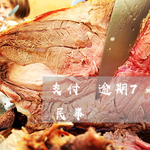 支付寶逾期7w(支付寶逾期7萬,算刑事還是民事)