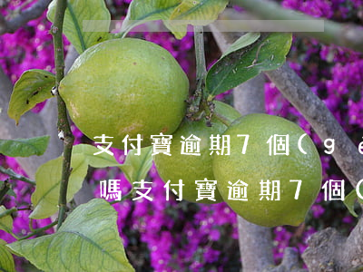 支付寶逾期7個(gè)月嚴(yán)重嗎(支付寶逾期7個(gè)月嚴(yán)重嗎)