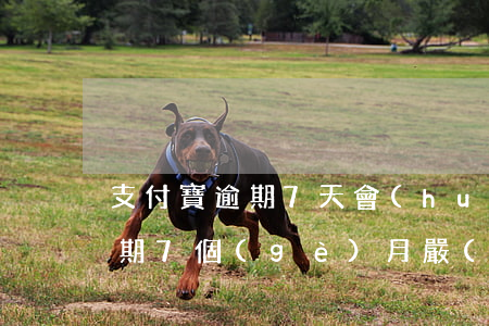 支付寶逾期7天會(huì)怎樣(支付寶逾期7個(gè)月嚴(yán)重嗎)