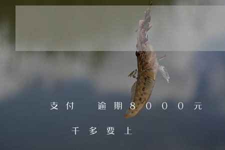 支付寶逾期8000元會上門嗎 支付寶逾期兩千多要上門