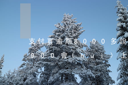 支付寶逾期8000多說要上門（支付寶逾期900會(huì)上門嗎）