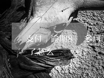 支付寶逾期8個多月了(支付寶逾期8個多月了怎么辦)