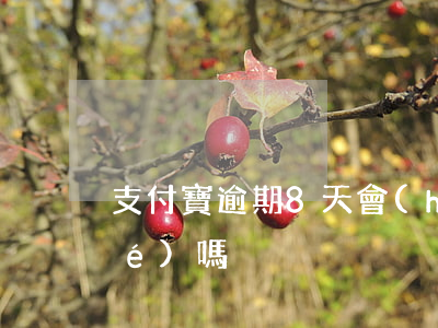 支付寶逾期8天會(huì)被凍結(jié)嗎