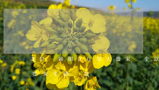 支付寶逾期90多天要求還全款 支付寶逾期要求全部還款
