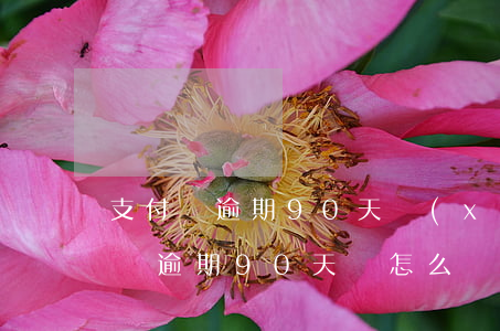 支付寶逾期90天協(xié)商還款(支付寶逾期90天會怎么辦)