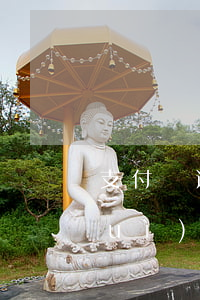 支付寶逾期90天欠六萬(wàn)會(huì)坐牢嗎-支付寶逾期90天欠六萬(wàn)會(huì)坐牢嗎知乎