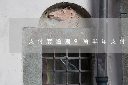 支付寶逾期9萬半年(支付寶逾期九十天)