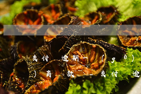 支付寶逾期一個(gè)多月能協(xié)商還款嗎-支付寶逾期一個(gè)多月能協(xié)商還款嗎