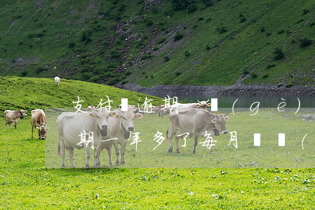 支付寶逾期一個(gè)月下月還 支付寶逾期一年多了,每月還點(diǎn)可以嗎