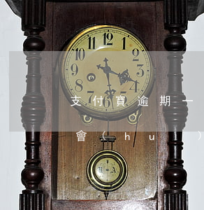 支付寶逾期一個(gè)月會(huì)不會(huì)被起訴(支付寶逾期1個(gè)月會(huì)起訴嗎)