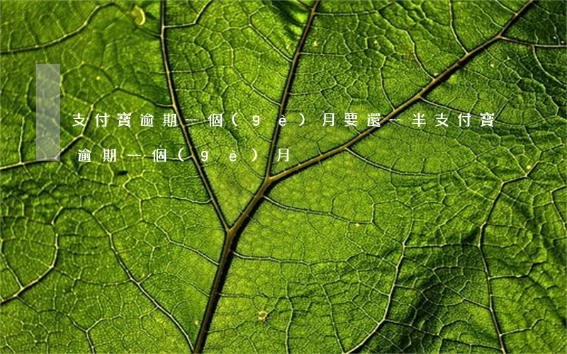 支付寶逾期一個(gè)月要還一半(支付寶逾期一個(gè)月)