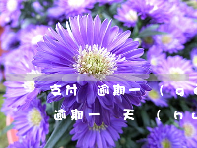 支付寶逾期一個(gè)禮拜征信-支付寶逾期一兩天會(huì)不會(huì)有征信記錄