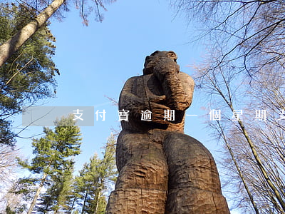 支付寶逾期一個星期（支付寶逾期購物）