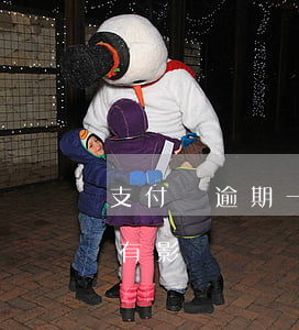 支付寶逾期一個月以上(支付寶逾期一個小時有影響嗎)