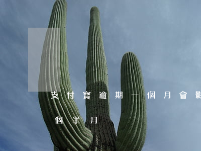 支付寶逾期一個月會影響嗎-支付寶逾期一個半月