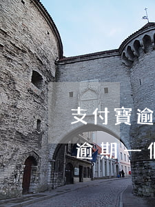 支付寶逾期一個月還上后還能用嗎-支付寶逾期一個月還上后還能用嗎